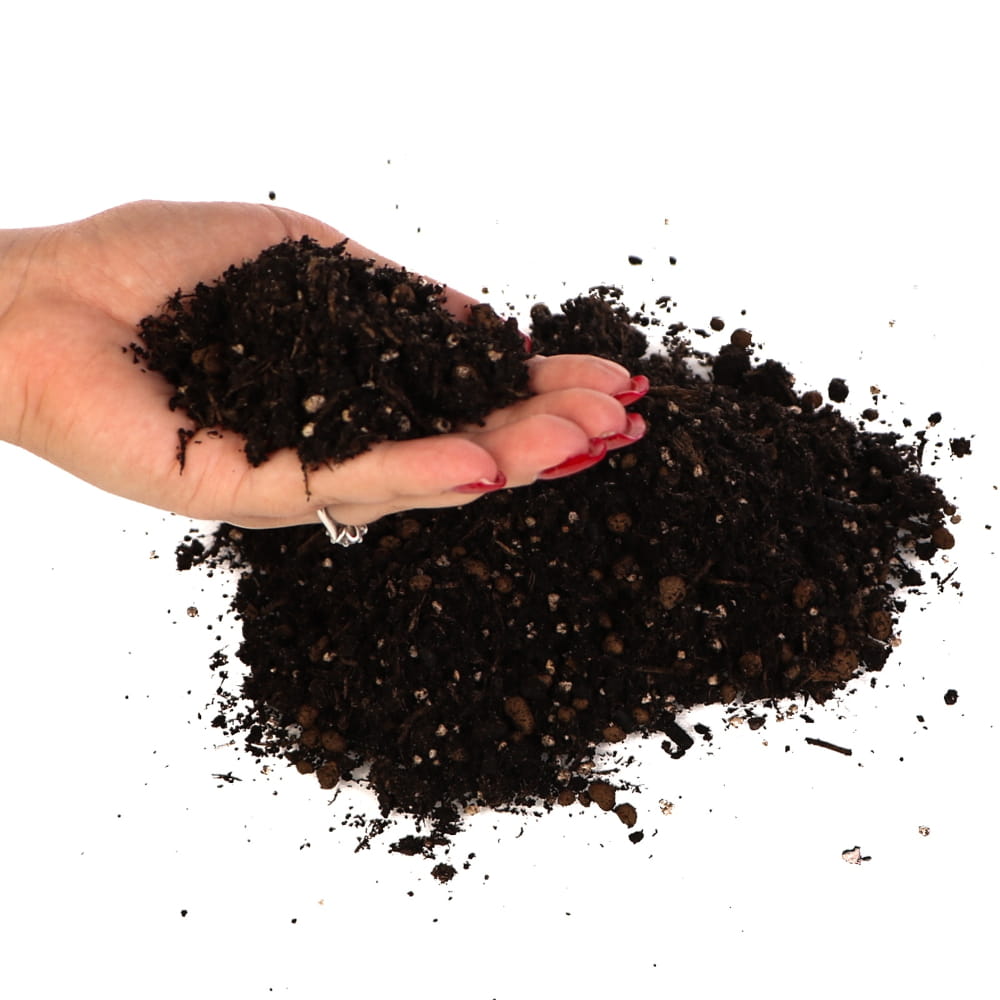 plant booster4.jpg